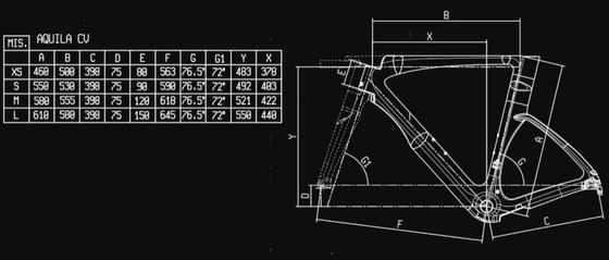 bianchi bike frames